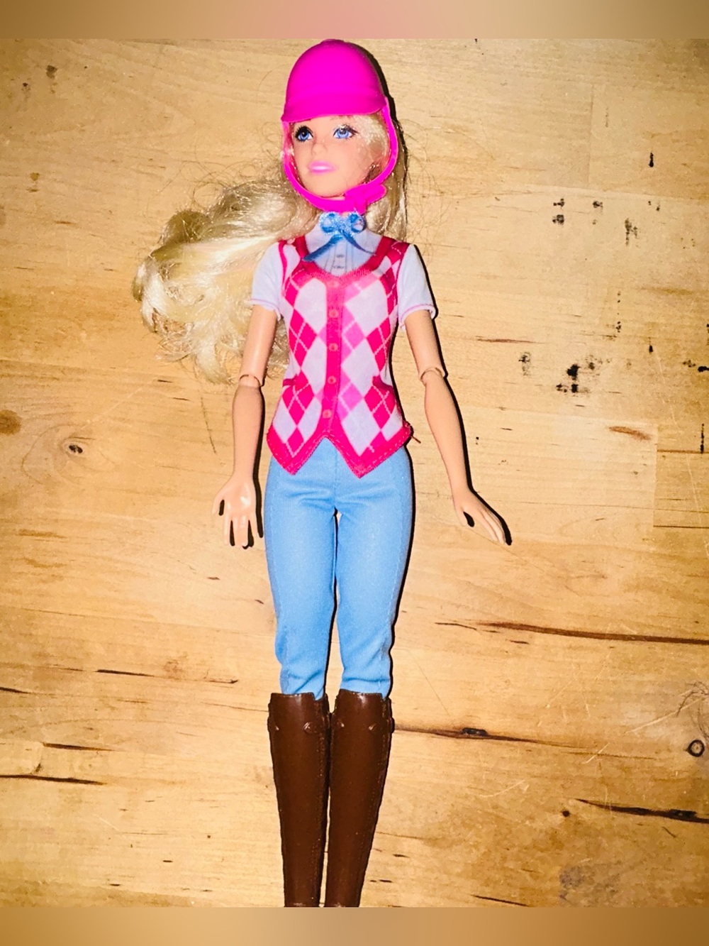Malibu Barbie Mysteries The Great Horse Chase  in Riding Outfit 2015